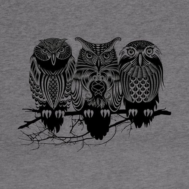 Owls by rcaldwell